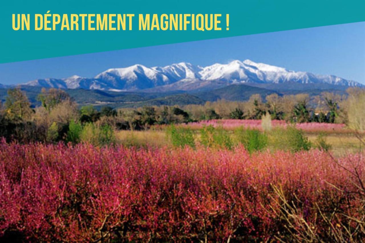 "Le 44", Immeuble De 2 Logements Neufs, Garage Pour Le F2 Uniquement Perpignan Exterior foto